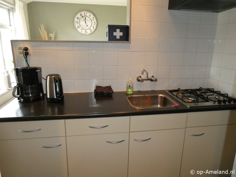  Ridderspoor